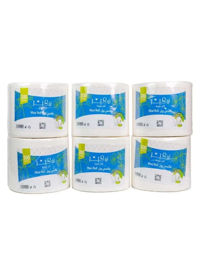 2Care Maxi Roll Tissues 300 Meters × 6 Rolls - Image 1